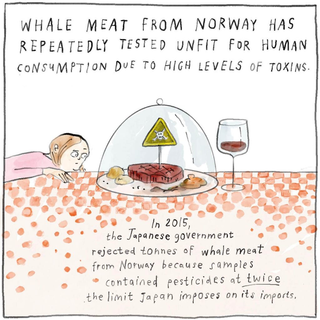 Whale meat from Norway had repeatedly tested unfit for human consumption due to high levels of toxins.