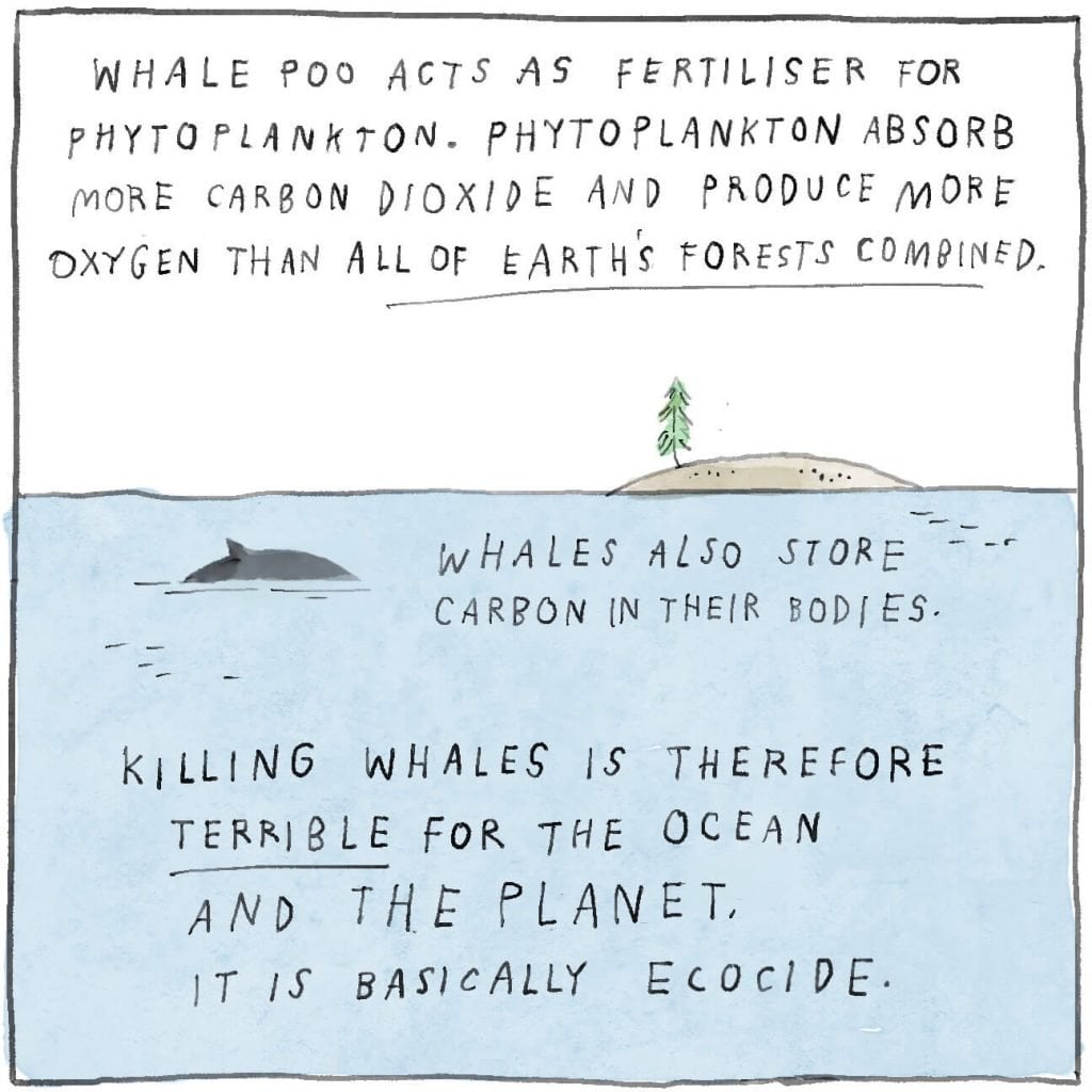 Whale poo acts as fertiliser for phytoplankton which absorb more carbon dioxide and produce more oxygen than all of the Earth's forests combined. Whales also store carbon in their bodies. Killing whales is terrrible for the ocean and the planet. It's basically ecocide.