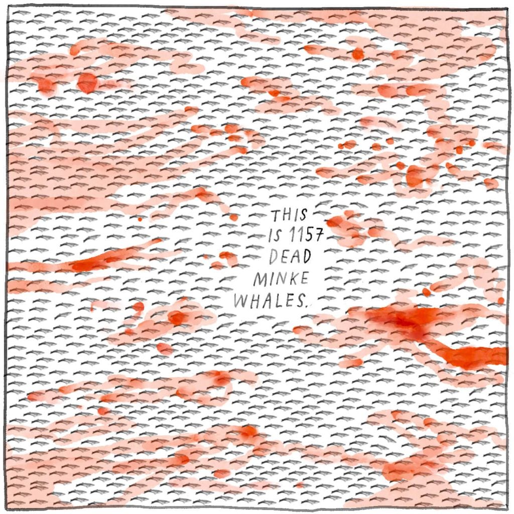 This is 1157 dead minke whales.